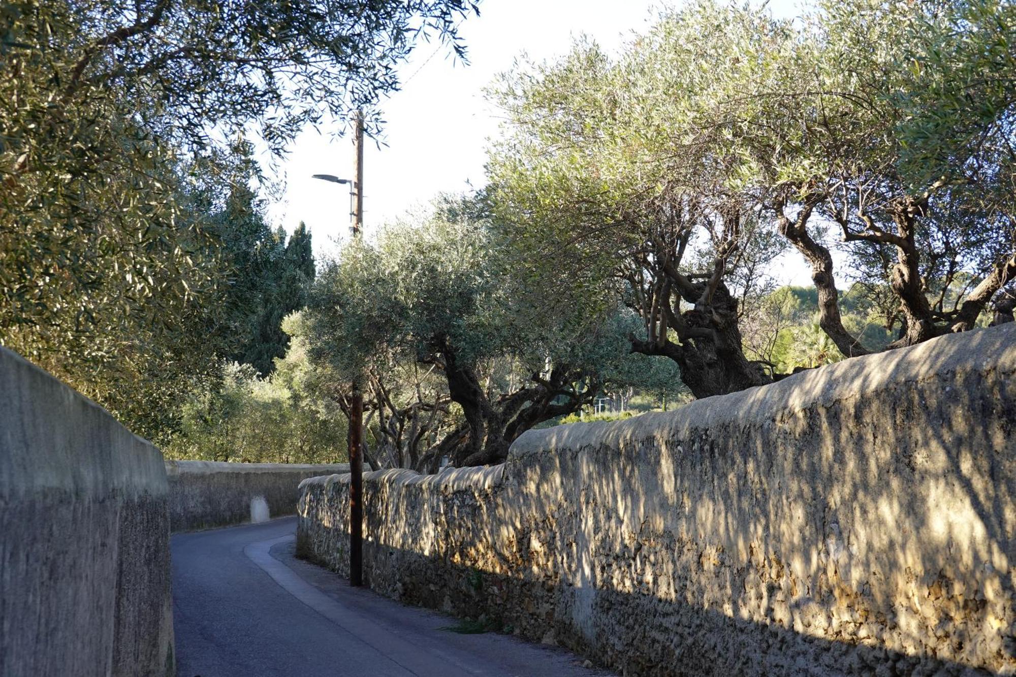 Apartmán Picouveau Cassis Exteriér fotografie